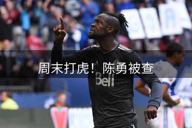 周末打虎！陈勇被查